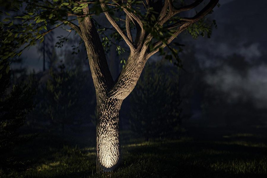 Tree trunk dramatically lit from base with spotlight in a dark landscape