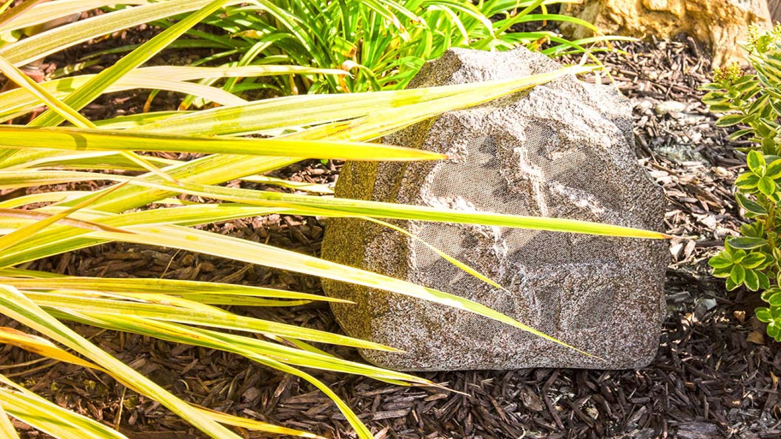 A camouflaged outdoor speaker designed to look like a natural rock, placed among plants and mulch in a landscaped garden setting.
